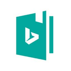 Bing 词典